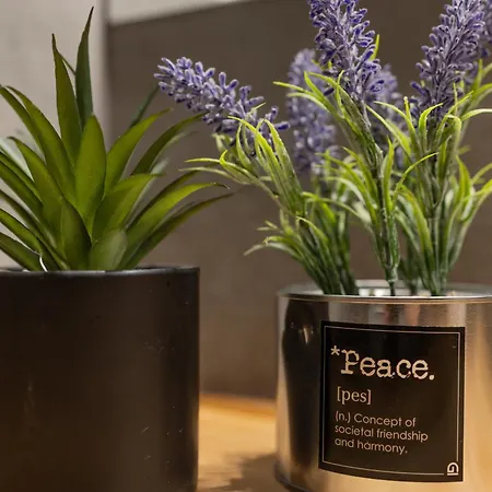 Διαμέρισμα Cathedral Iii Πόρτο