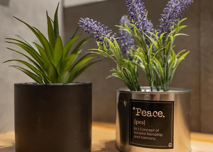 Lejlighed Cathedral Iii Porto